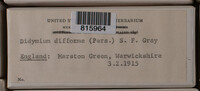 Image Associated With the Occurrence